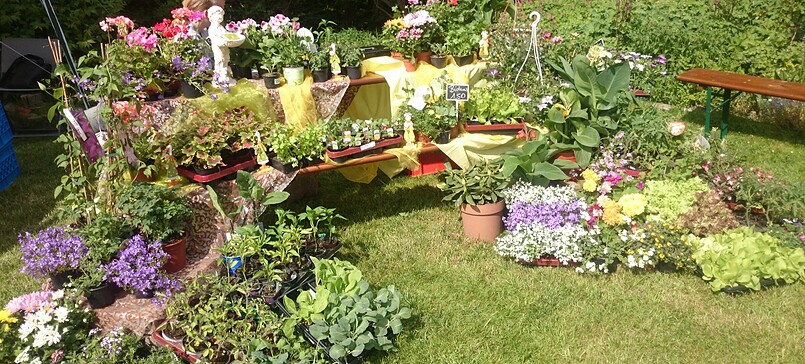 Gärtnerei Sommerfeld, vegetables & fruits