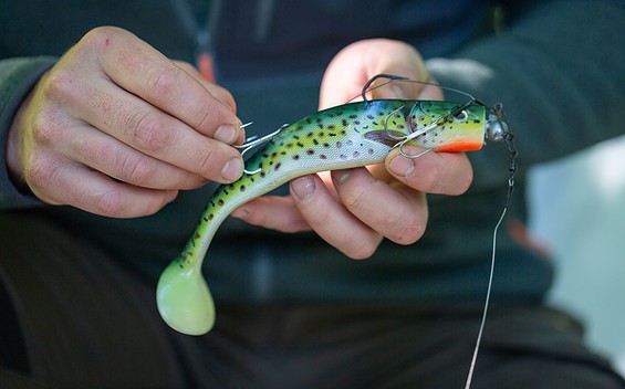 Hechtköder, Gummi, Foto: Florian Läufer