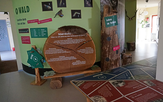 Im Waldhaus am Bergwitzsee @ Monika Pölitz