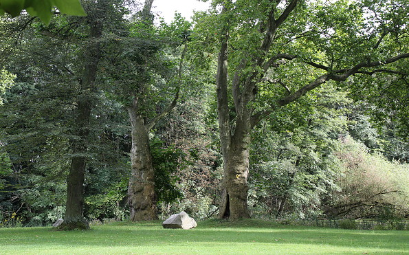 Schlosspark Diedersdorf, Foto: Katrin Riegel