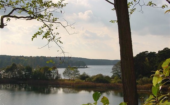 Pinnower See Ausblick, Foto: Doreen Noack