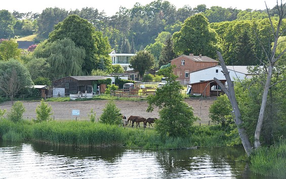 Reiterhof am Oderstrom, holiday apartment