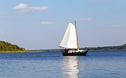 Segelboot auf dem Schwielowsee, Foto: Andre Stiebitz