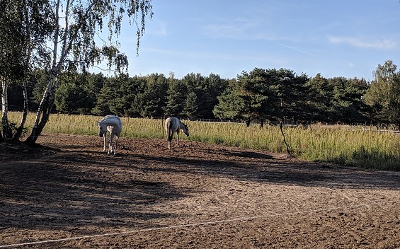 TMB Fotoarchiv, Foto: Doreen Ludwig