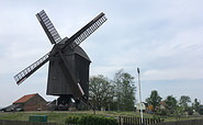 Windmühle am Ortseingang von Beelitz, Foto: Tourismusverband Fläming e.V.