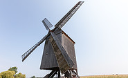 Beelitzer Bockwindmühle, Foto: Jedrzej Marzecki