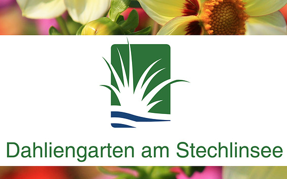 Dahliengarten am Stechlinsee