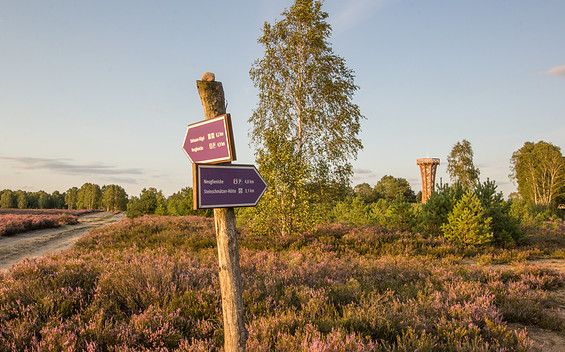 Heideturm Tower in Sielmann’s Kyritz-Ruppin Heath Nature Conservation Area