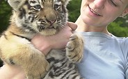Zoologischer Garten Eberswalde - tiger baby, picture: Thomas Burkhardt