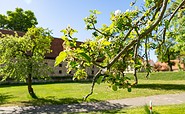 Zisterzienserkloster Lehnin, picture: TMB-Fotoarchiv/Steffen Lehmann