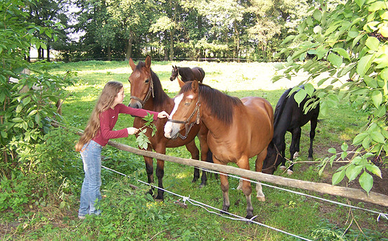 Mädchen mit Pferde, Foto: Tourismusverband Dahme-Seen e.V.