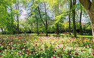 Blühende Tulpen vor Hängematten, Foto: TMB-Fotoarchiv/Birgit Kunkel
