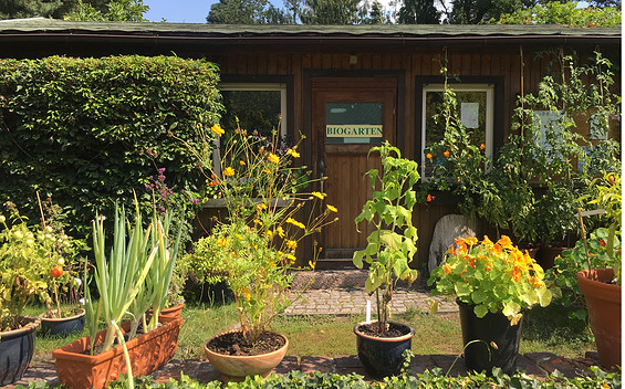 Organic Garden in Prieros
