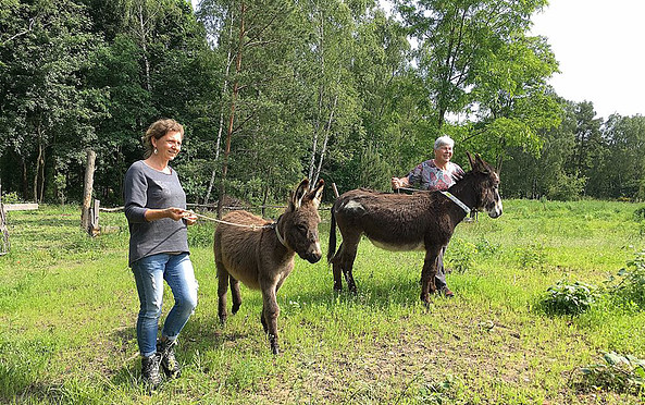 Unterwegs mit den Eseln, Foto: Silke Hildebrandt