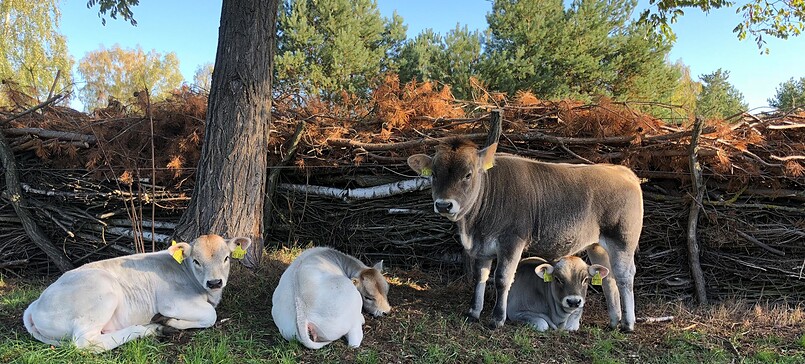 Sommers Hofladen, farm shop
