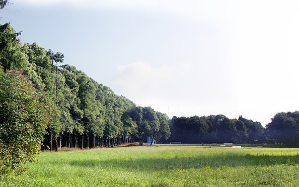 Gutspark Hirschfelde, Foto: Regionalpark Barnimer Feldmark e.V.