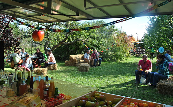 Obsthof Zwicker, fruit farm shop