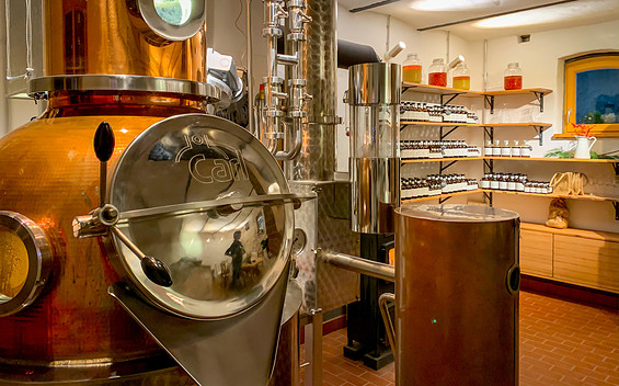 Blick in die Feinbrennerei, Foto: Ina Grajetzki