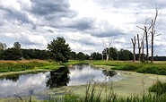 Auf dem Jakobsweg, Foto: TMB-Fotoarchiv/Frank Meyer