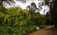 Parkanlage Beelitz Heilstätten, Wandelhalle, Foto: Baum&amp;Zeit Baumkronenpfad