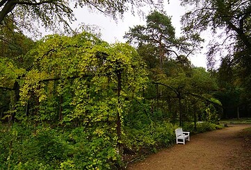 Der Wald-Park Beelitz-Heilstätten