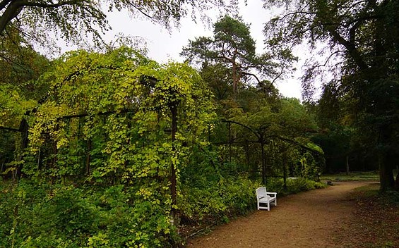 Der Wald-Park Beelitz-Heilstätten