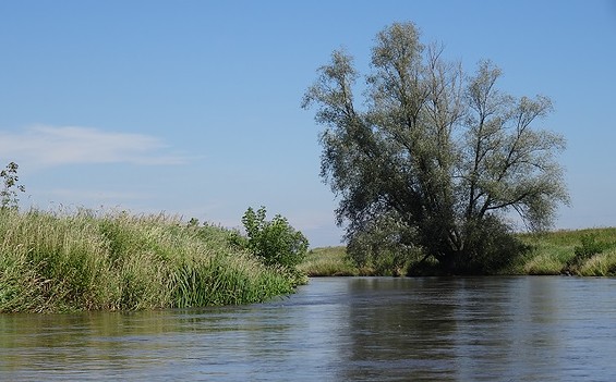 Along the Neiße floodplains to the River Oder