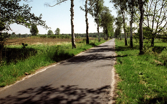 Kleiner Ausflug, Foto: MuT Guben