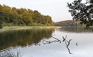 Blick über den Regenbogensee, Foto: TMB-Fotoarchiv / Steffen Lehmann