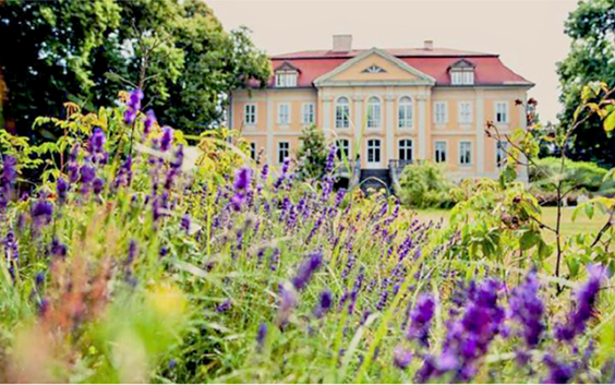 Schloss Stülpe im Sommer, Foto: Darek Gontarski
