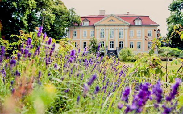 Schloss Stülpe im Sommer, Foto: Darek Gontarski
