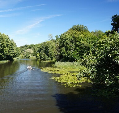 Canoe Tour on the Finow Canal 