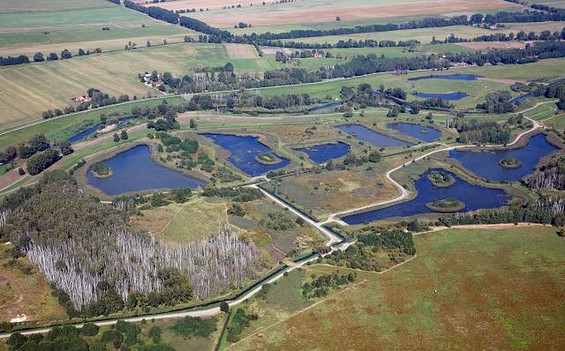 Teiche, Foto: Albrecht Hanke