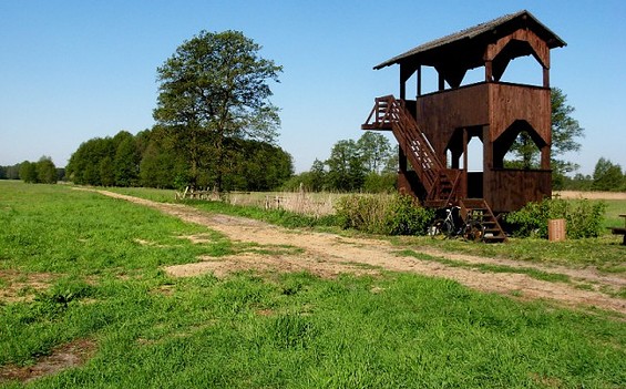 Vogelbeobachtungsturm Grenzelwiesen, Foto: Peter Koch, Landschaftsförderverein Nuthe-Nieplitz