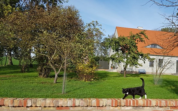 Haus mit Katze, Foto: S. Pogorzelski
