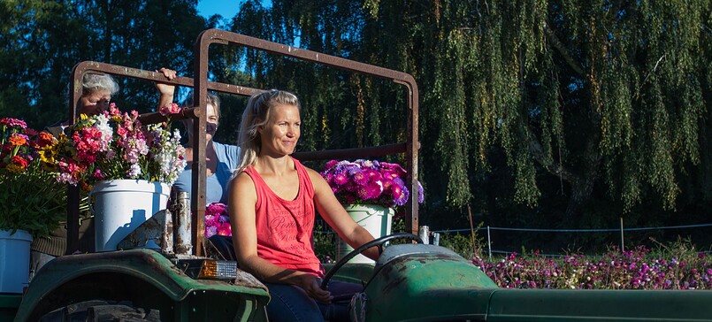 Gemüsebaubetrieb Kuprat Vegetables and Fruit