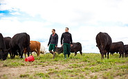 Ronny Ryll und Tino Ryll auf der Weide, Foto: Christian Lorenz