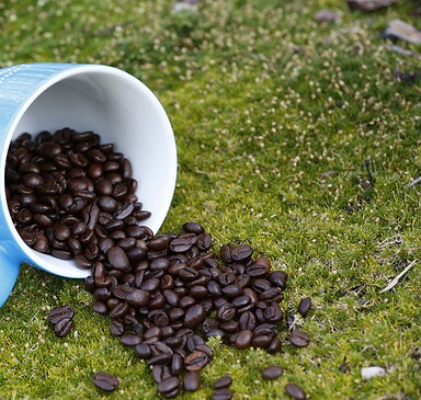Bintig Coffee Roasting Shop