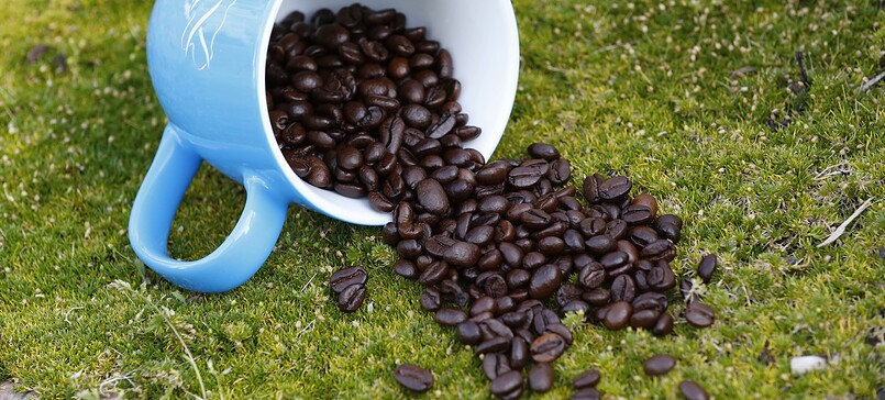 Bintig Coffee Roasting Shop