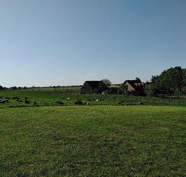 Farm Weggun