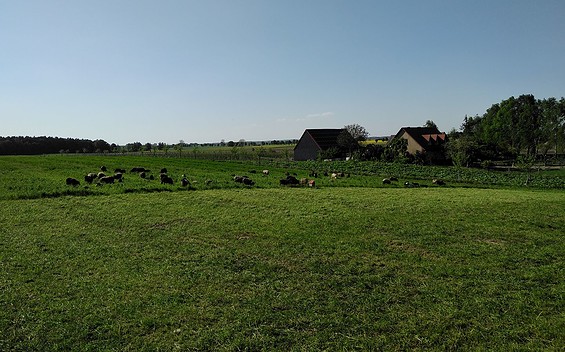 Bauernhof Weggun, Foto Bauernhof Weggun (2)