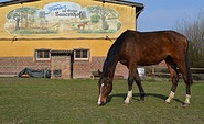 Naturbauernhof Gierke, Foto Familie Gierke