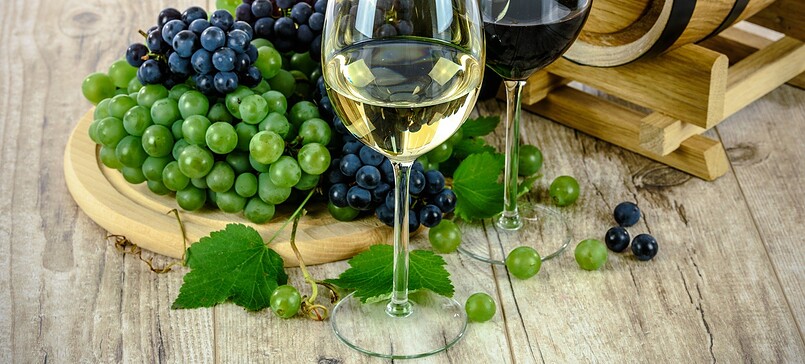 Leo´s vineyard