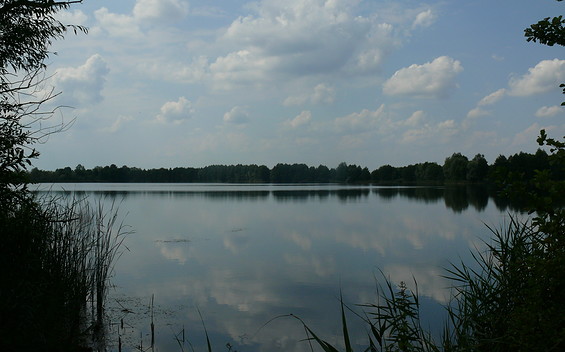 Quarry Lake in Maust