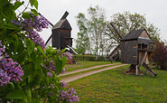 Bockwindmühle Beelitz, Foto: Tourismusverband Fläming e.V.
