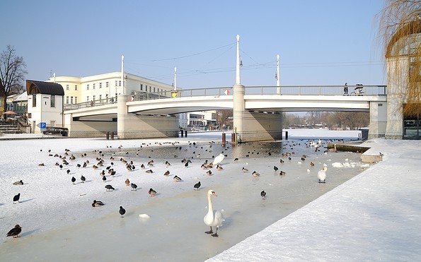Jahrtausendbrücke im Winter, Foto: Kati Krüger