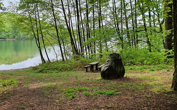 Bathing Area at Lake Peetschsee in Steinförde