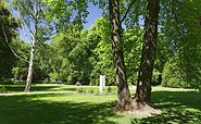 Humboldthain mit Denkmal, Foto: Ulf Boettcher