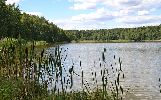 Lake Kleinsee (Fishing Waters C07-113)