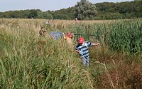 Kinder beim Tümpeln © Thomsdorf